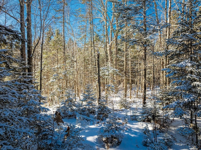 view of snow covered land featuring a forest view