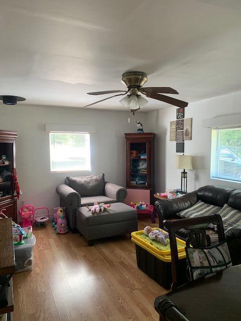 living room with ceiling fan and light hardwood / wood-style floors