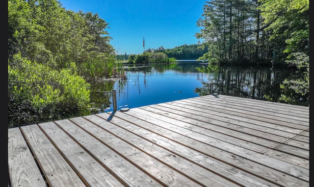 dock area with a water view