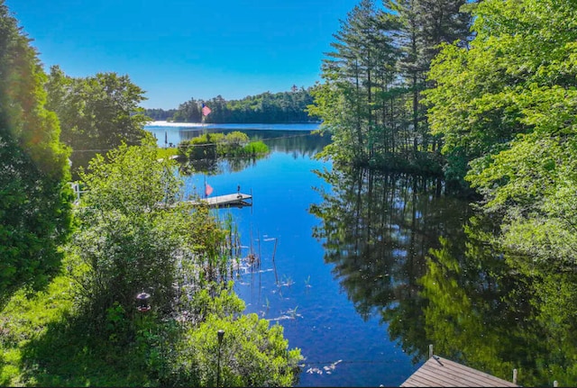 property view of water featuring a dock