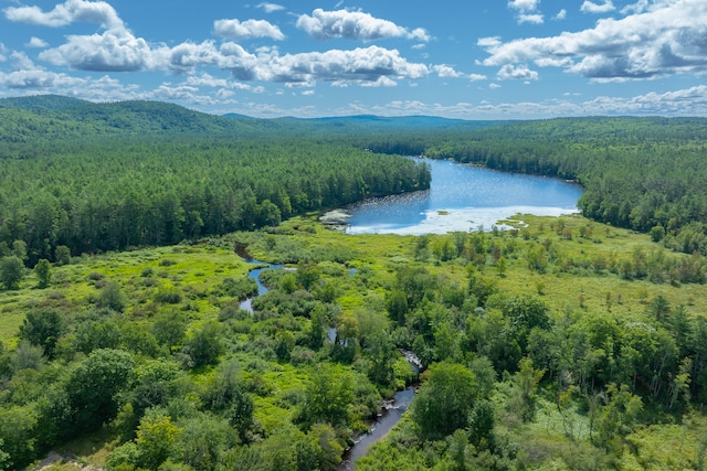 aerial view with a water and mountain view