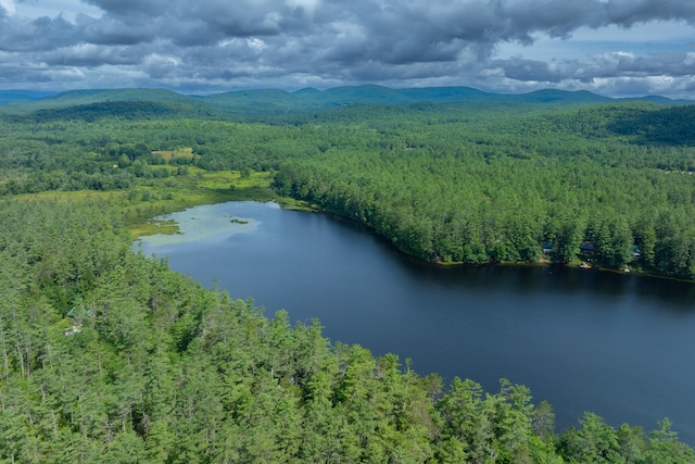 bird's eye view featuring a water and mountain view