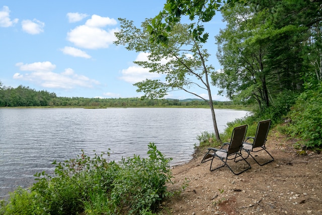 property view of water