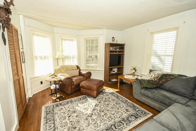 living room with a textured ceiling and dark hardwood / wood-style flooring