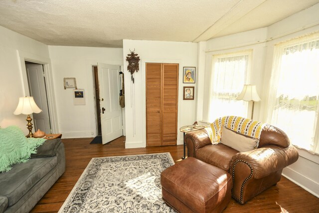 living room featuring a textured ceiling and dark hardwood / wood-style floors