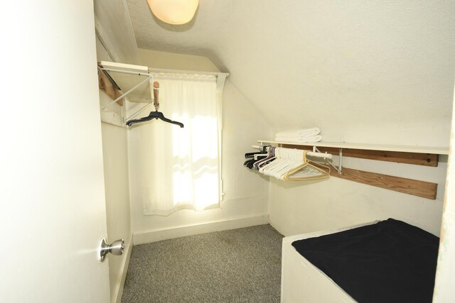 walk in closet featuring carpet floors and vaulted ceiling