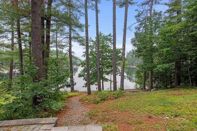 view of water feature