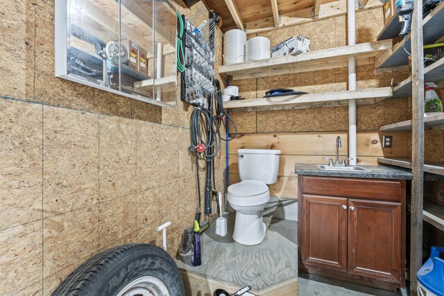 bathroom featuring a workshop area, toilet, and vanity