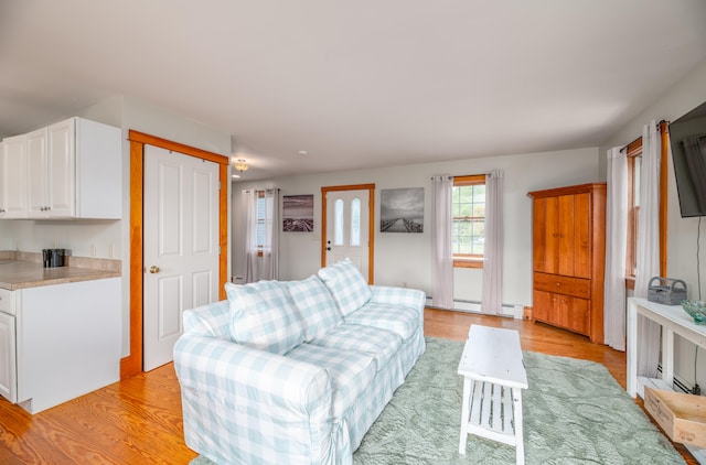 living room featuring light hardwood / wood-style floors