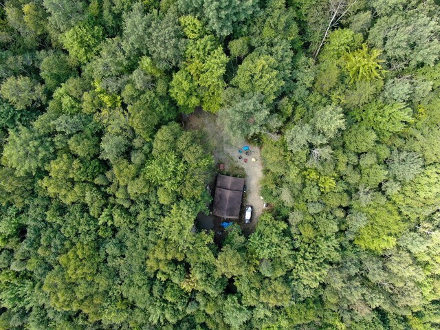 drone / aerial view