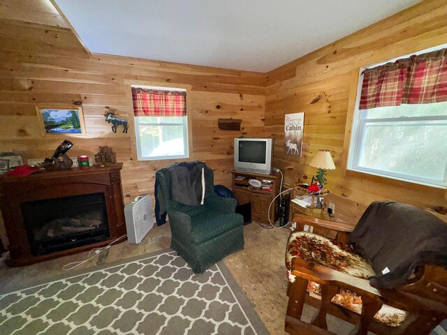 living area with carpet floors