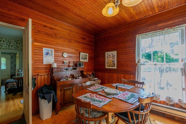 dining space with plenty of natural light, wooden walls, and hardwood / wood-style floors