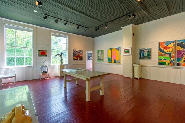 game room featuring rail lighting and dark hardwood / wood-style flooring