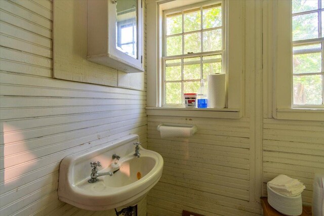 bathroom with wood walls, sink, and a healthy amount of sunlight