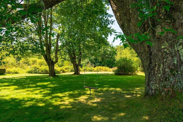 292300 Main Rd, Islesboro, ME 04848 - view of yard