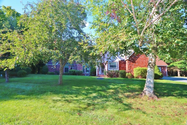 obstructed view of property with a front yard