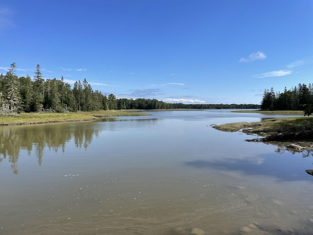 property view of water