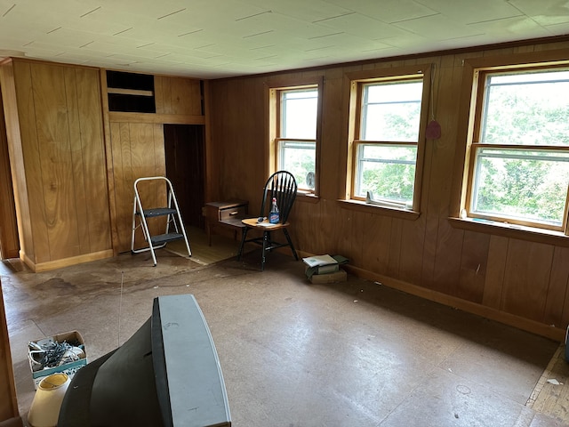 interior space with wood walls and baseboards