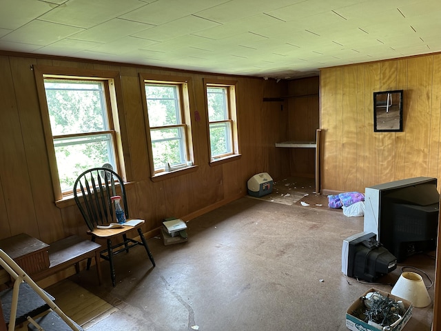 sitting room with wooden walls