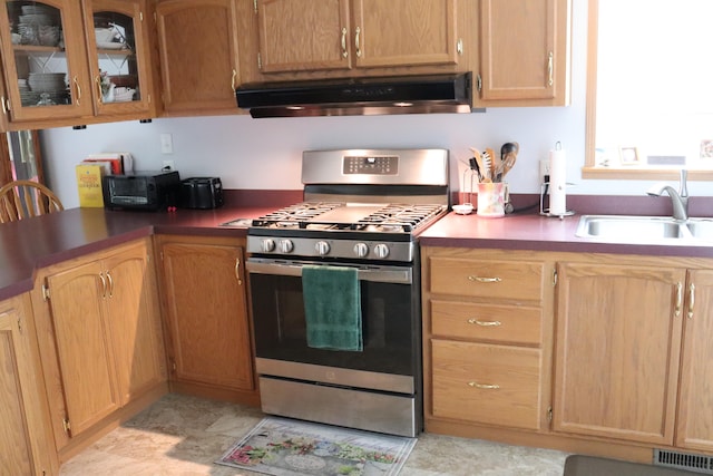 kitchen with exhaust hood, stainless steel gas range oven, and sink