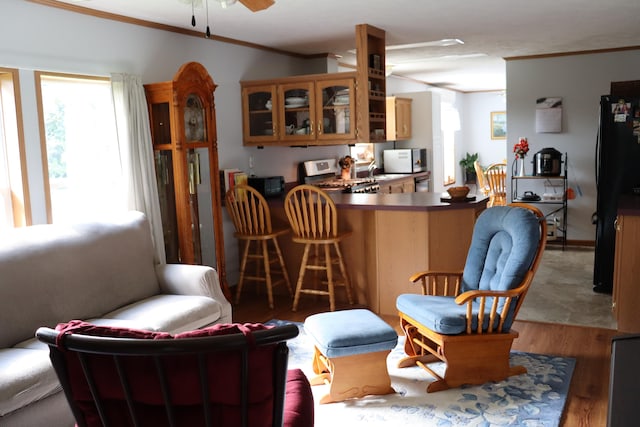 interior space featuring hardwood / wood-style flooring, gas range, black refrigerator, kitchen peninsula, and ceiling fan