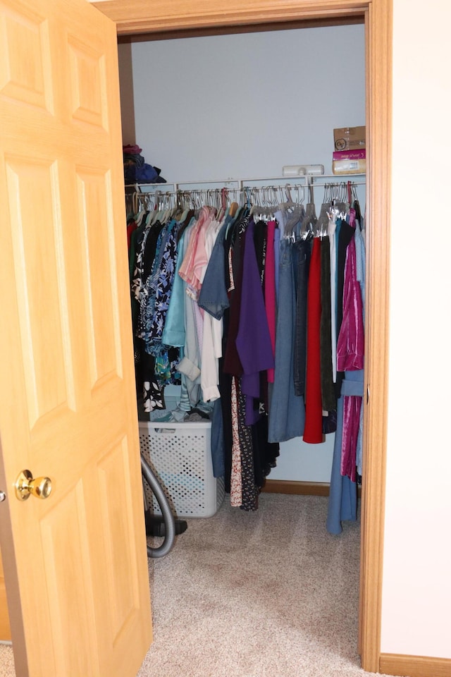 view of closet