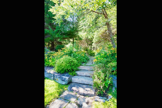 41 Sandpiper Ln, Bristol, ME 04539 - view of yard featuring a forest view