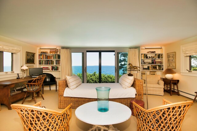 41 Sandpiper Ln, Bristol, ME 04539 - living area featuring a baseboard heating unit and built in features