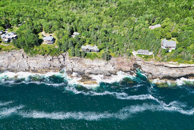 41 Sandpiper Ln, Bristol, ME 04539 - drone / aerial view with a forest view