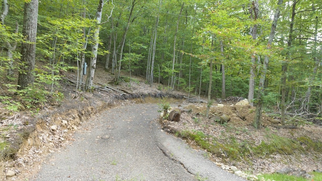 Listing photo 2 for LOT26 Meadow Rd, Casco ME 04015