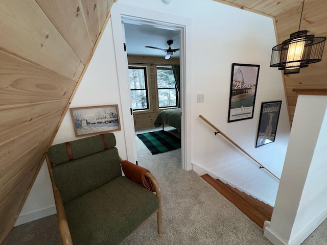 stairway featuring carpet flooring, wood ceiling, and wooden walls