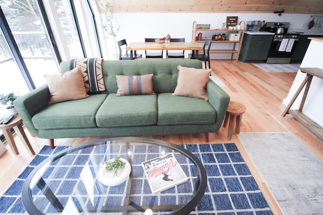 living room featuring wood-type flooring