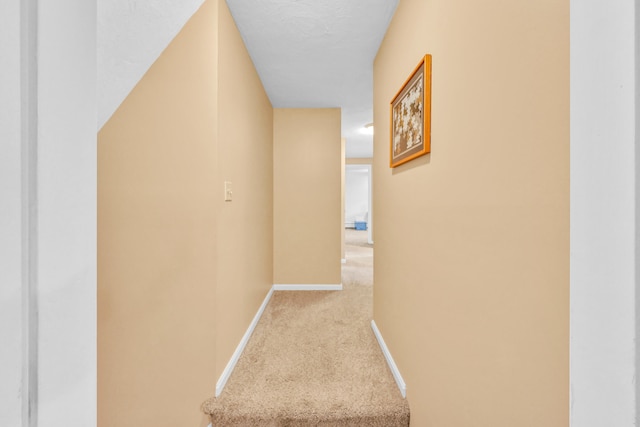 hallway featuring a textured ceiling and carpet