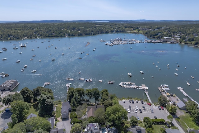 aerial view with a water view and a forest view