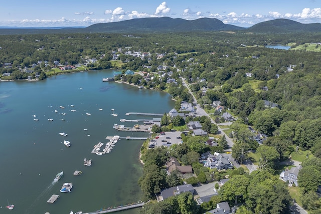 birds eye view of property featuring a forest view and a water and mountain view