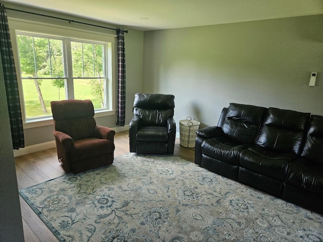 living room with wood-type flooring