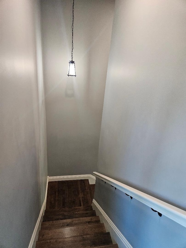 stairs featuring wood-type flooring