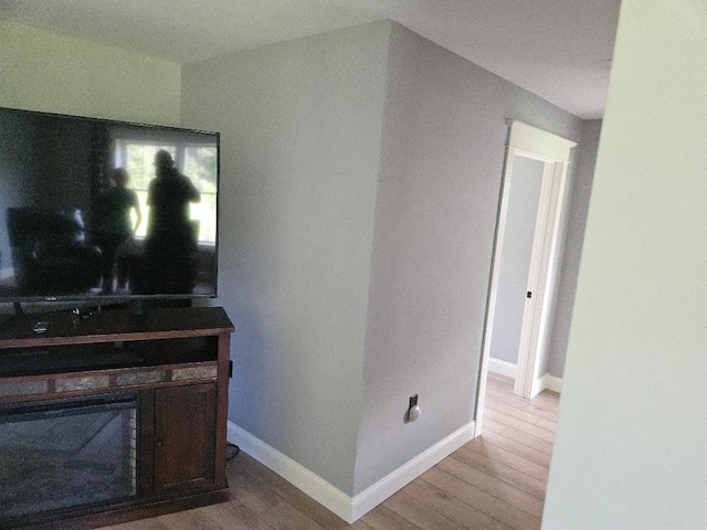 living room with wood-type flooring