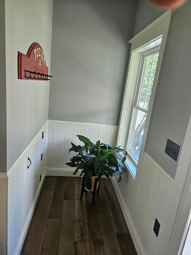 interior space featuring dark hardwood / wood-style flooring