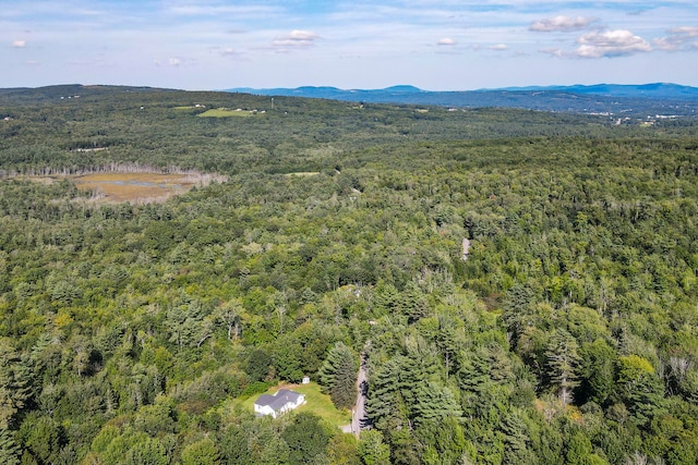 birds eye view of property featuring a mountain view