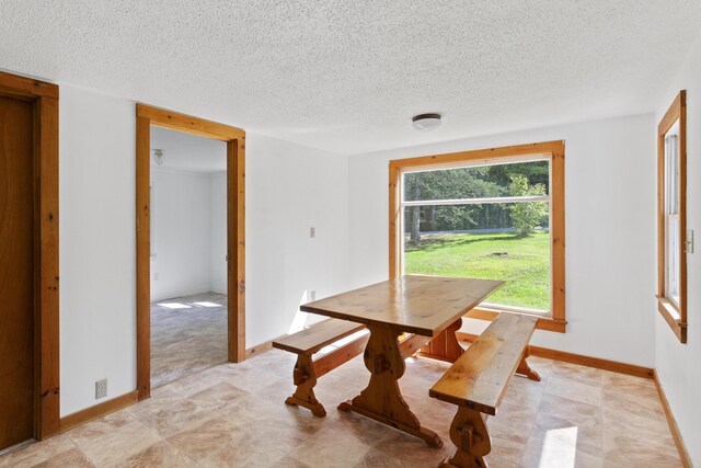 dining area with a textured ceiling