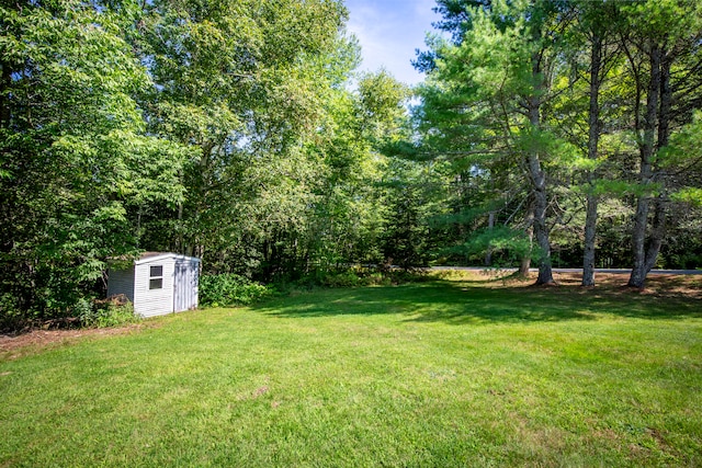 view of yard with a shed