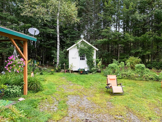 view of yard with a storage unit