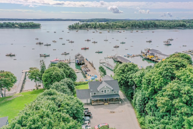 bird's eye view featuring a water view