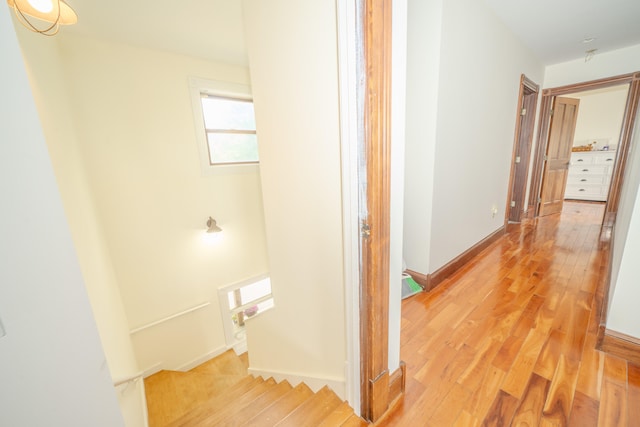 corridor with hardwood / wood-style floors