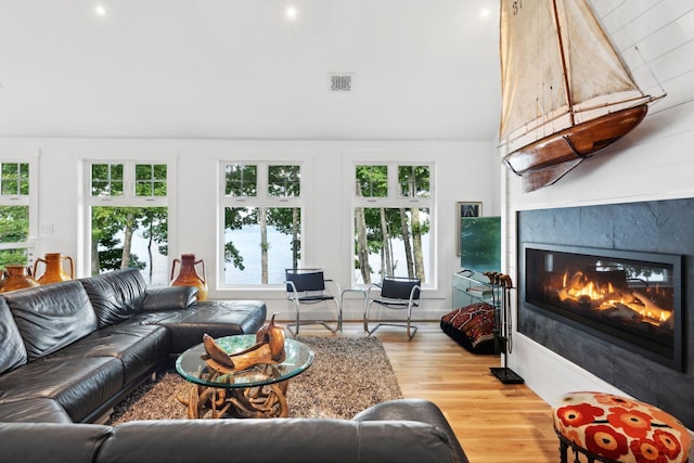 living room featuring a fireplace and light hardwood / wood-style flooring