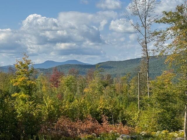 view of mountain feature