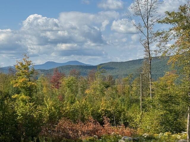 48 Harmony Row, Bethel, ME 04217 - photo 62
