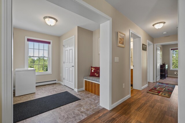 interior space featuring baseboard heating, wood-type flooring, and a healthy amount of sunlight