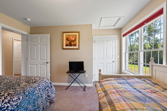 bedroom featuring carpet